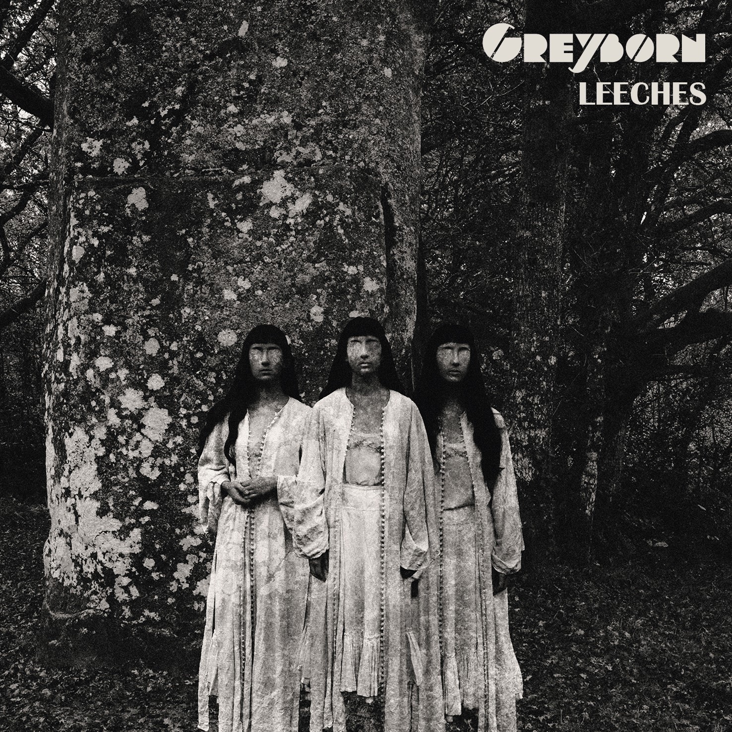 GREYBORN: Neues Video "Leeches"