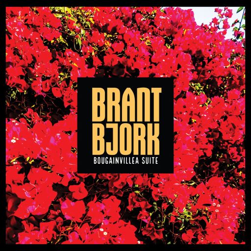 Brant Bjork: Mehr als nur entspannter Stoner Rock