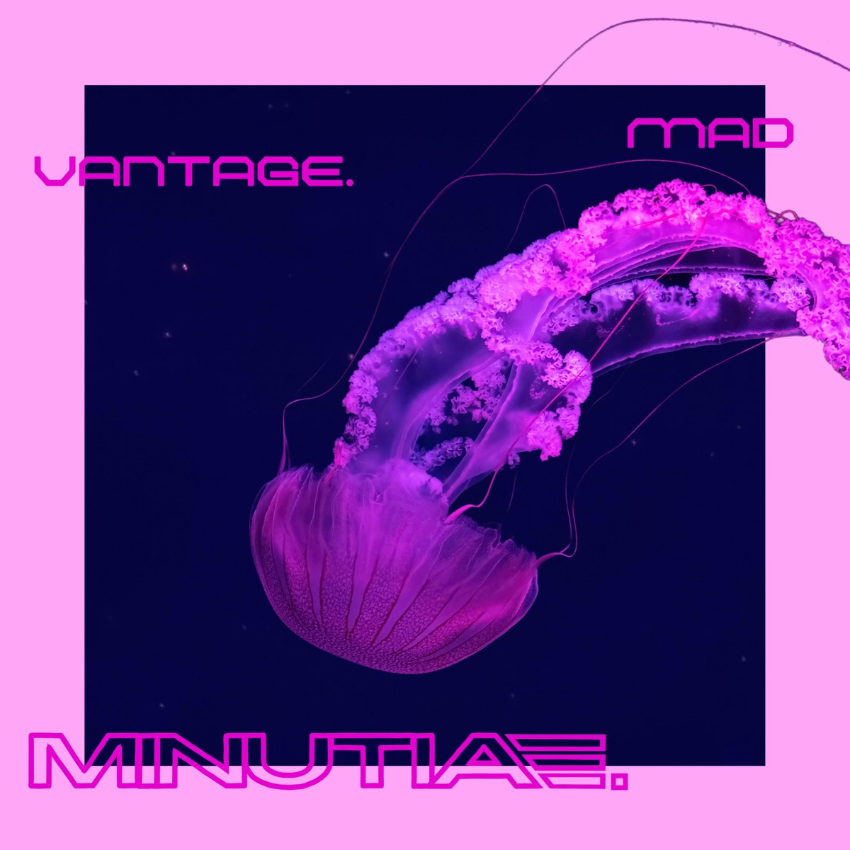 Mad Vantage – Wenn Jazz die Gitarren frisst: „Minutiae.“ als rhythmische Offenbarung