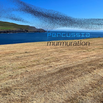 Wenn Sterne fliegen lernen – Percussia tanzt im Schwarm